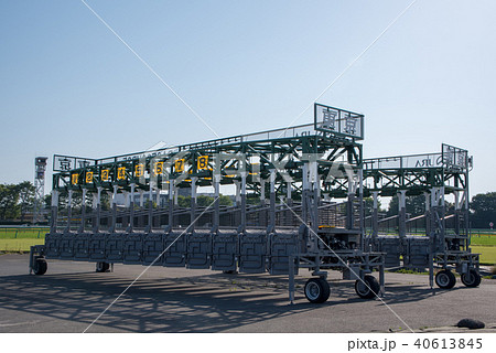 東京競馬場　出走ゲイト　府中 40613845