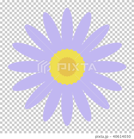 Astor Alpinus 40614030