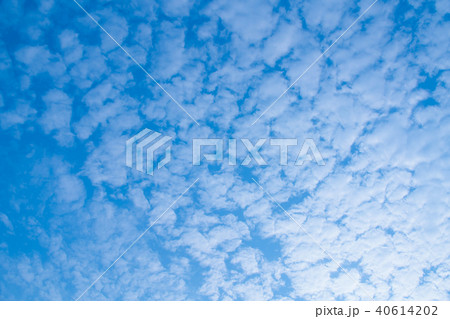 5月の空と雲（3:2）うろこ雲 40614202