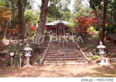五大山白毫寺 40614368