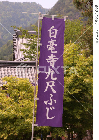 五大山白毫寺 40614369