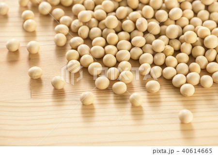 大豆 40614665