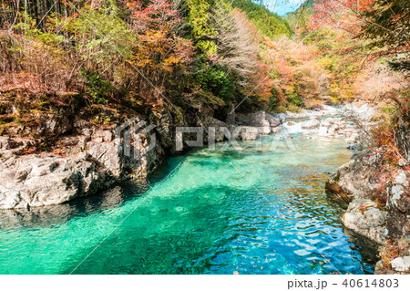 阿寺渓谷（１１月） 40614803