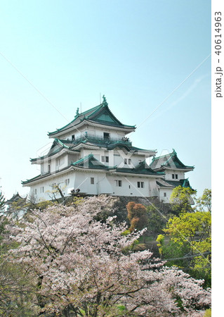 和歌山城 和歌山城 40614963