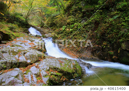 背戸峨廊・夏井川の支流（福島県・いわき市） 40615400