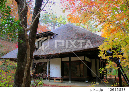 茅葺き屋根とモミジ（福島県・いわき市） 40615833