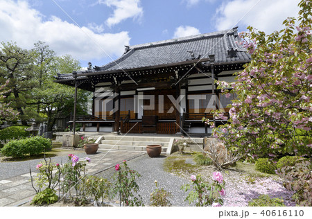 本満寺 本堂 本満寺 本堂 40616110