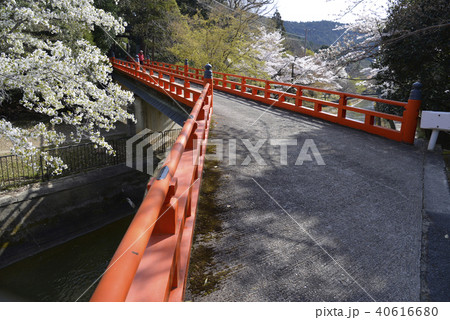 琵琶湖疏水　本圀寺 40616680