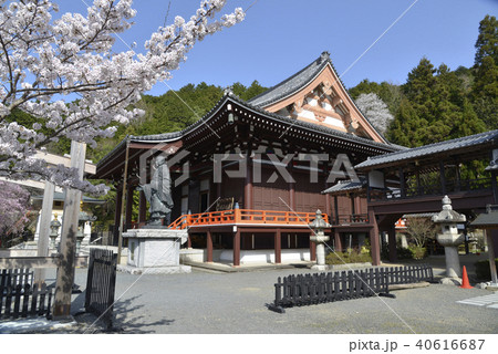 琵琶湖疏水 本圀寺 琵琶湖疏水 本圀寺 40616687