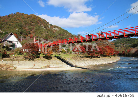 吊り橋・矢祭山公園(福島県・矢祭町) 吊り橋・矢祭山公園(福島県・矢祭町) 40616759