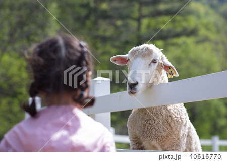 牧場 子供 動物 40616770