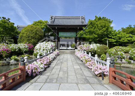 妙満寺　山門 40616940