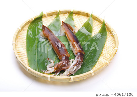 スルメイカ　食材 40617106