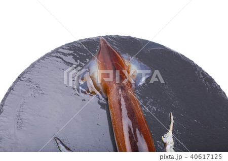 スルメイカ　食材 40617125