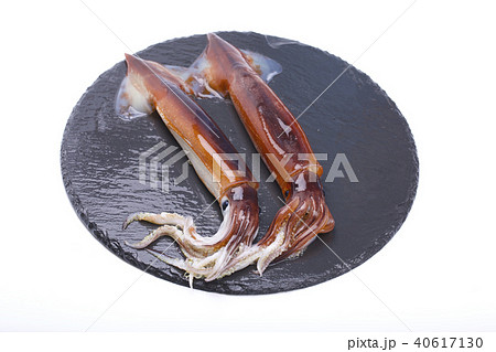 スルメイカ　食材 40617130