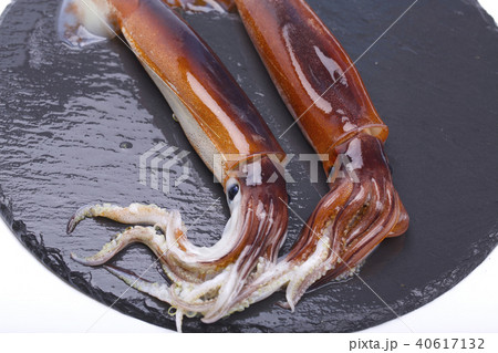 スルメイカ　食材 40617132