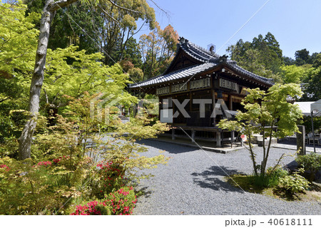 赤山禅院　雲母（きらら）不動堂 40618111