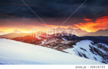 magical winter snow covered tree. Sunset in the Carpathians. Ukr magical winter snow covered tree. Sunset in the Carpathians. Ukr 40618795