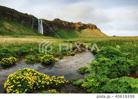 Seljalandfoss waterfall. Beautiful summer sunny day Seljalandfoss waterfall. Beautiful summer sunny day 40619399