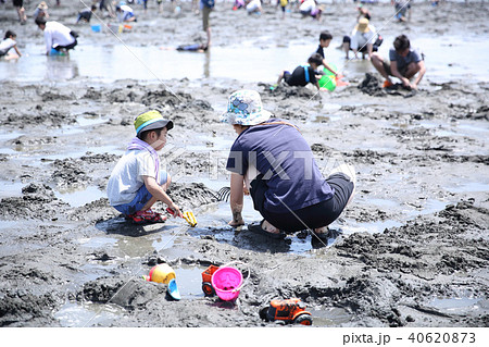 親子で潮干狩り 親子で潮干狩り 40620873