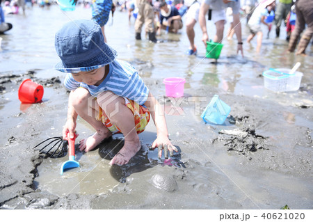 潮干狩りの楽しむ子供 潮干狩りの楽しむ子供 40621020