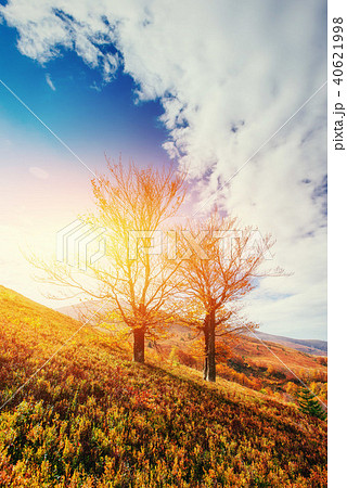 mountain range in the Carpathian Mountains in the autumn season. 40621998