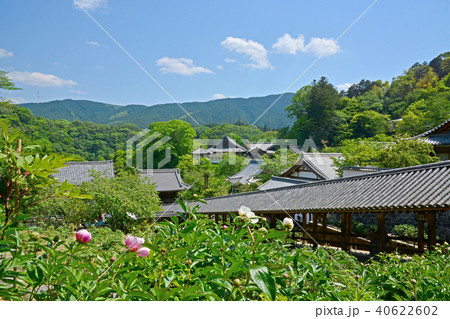 長谷寺 40622602