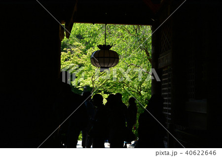 長谷寺 長谷寺 40622646