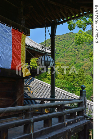 長谷寺 長谷寺 40622649