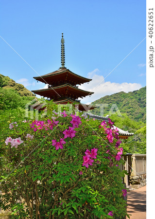 長谷寺 長谷寺 40622651