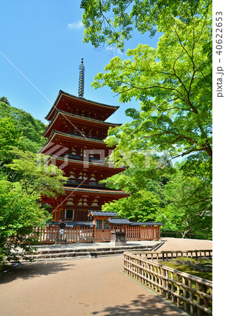 長谷寺 40622653