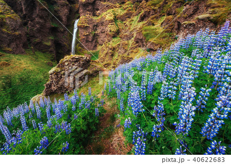 The picturesque landscapes of forests and mountains The picturesque landscapes of forests and mountains 40622683