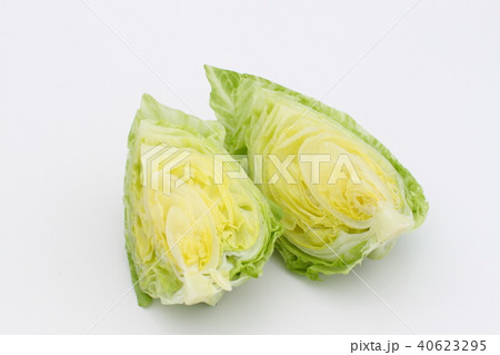 野菜 夏野菜 カットされたレタスの写真素材