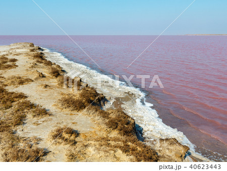 Pink salty Syvash Lake, Ukraine Pink salty Syvash Lake, Ukraine 40623443