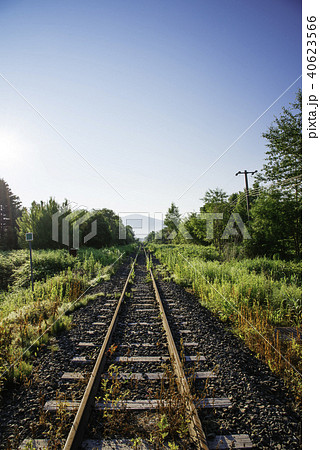 線路　根室線　幾寅付近 40623566