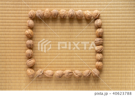 くるみ　シナノグルミ　フレーム　枠 40623788