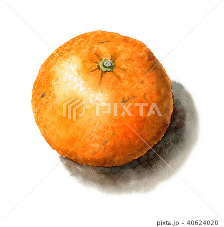 50369436_2 50369436_2