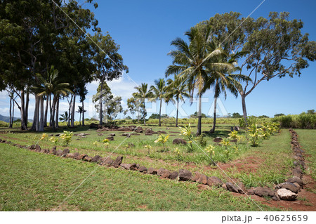 クカニロコ・バースストーン 40625659