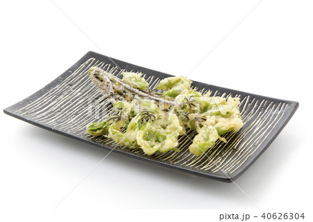 漉油テンプラ 漉油テンプラ 40626304