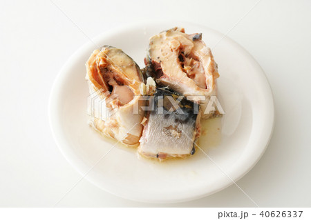 鯖缶 水煮 鯖缶 水煮 40626337