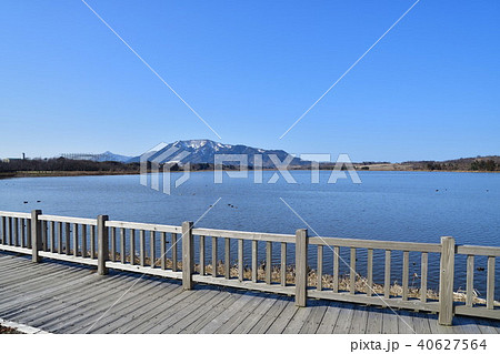 佐潟（新潟県） 40627564