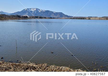 佐潟（新潟県） 40627567