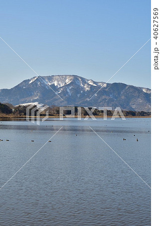 佐潟（新潟県） 40627569