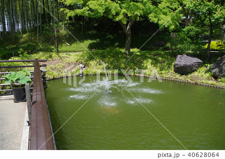 噴水 40628064