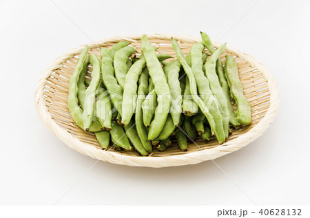 ヒラサヤインゲン 40628132