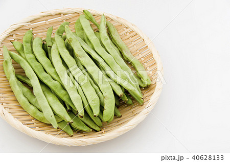 ヒラサヤインゲン ヒラサヤインゲン 40628133