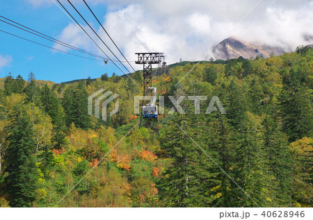 紅葉と大雪山旭岳ロープウェイの写真素材