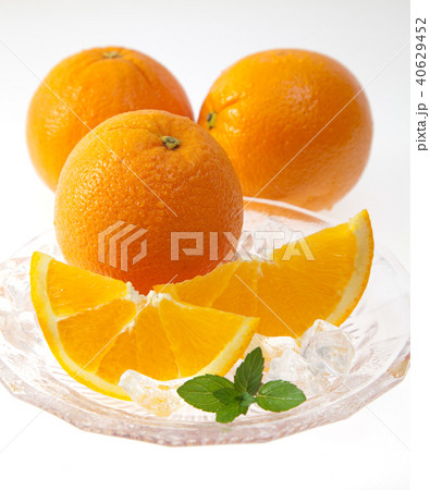 ネーブルオレンジ ネーブルオレンジ 40629452