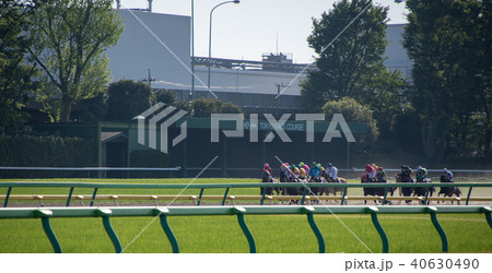 東京競馬場 出走 スタート 競走馬 東京競馬場 出走 スタート 競走馬 40630490
