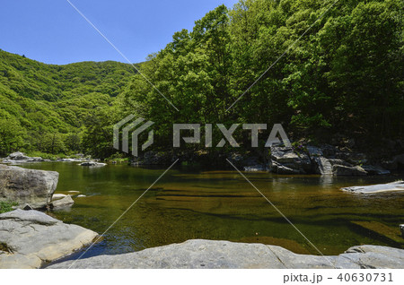 徳裕山 韓国 谷 40630731